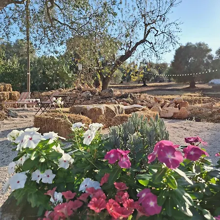 Residenza Anima Mediterranea Holiday home Francavilla Fontana